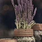 B&B Ca' Mea Room, Wellness & Food 4*
