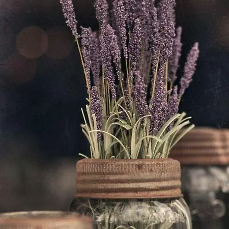 Nocleg ze śniadaniem Ca' Mea Room, Wellness & Food 4*